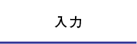入力